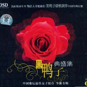 插入美女老师的穴
